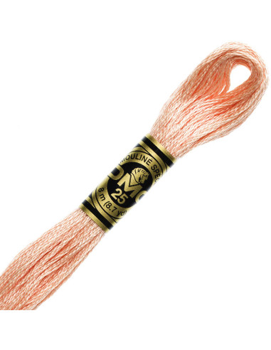 DMC Mouliné borduurgaren