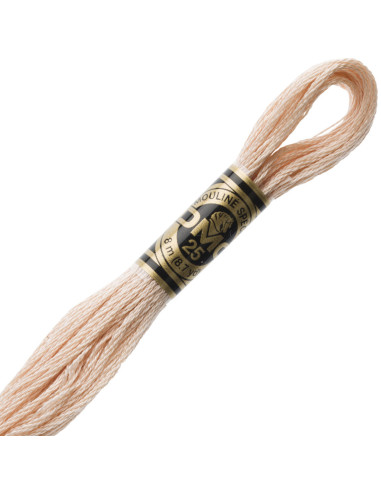 DMC Mouliné borduurgaren