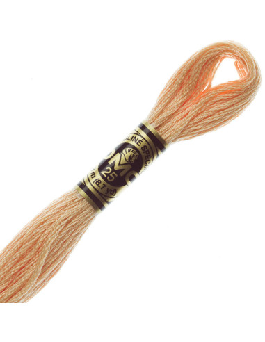DMC Mouliné borduurgaren