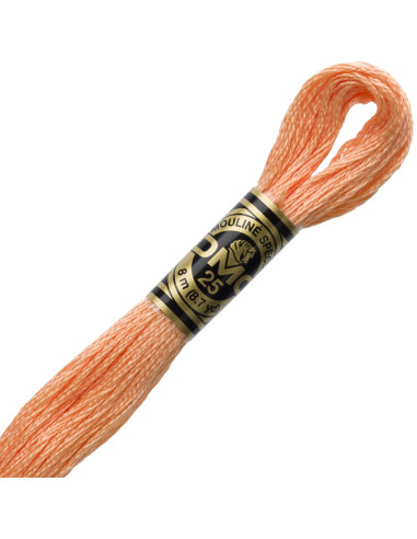 DMC Mouliné borduurgaren