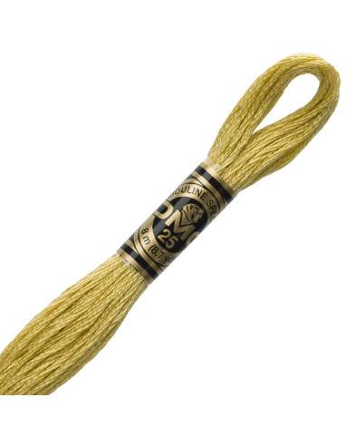 DMC Mouliné borduurgaren