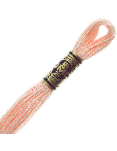 DMC Mouliné borduurgaren