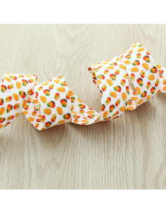 Bias fruit - Mango 2