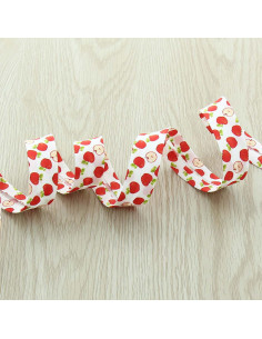 Bias fruit - Appel 2