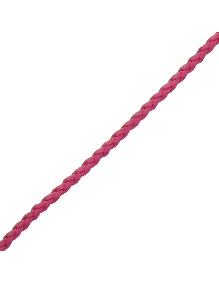 Fuchsia-achtige vlecht