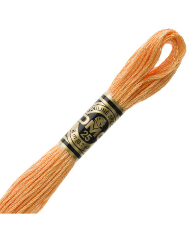 DMC Mouliné borduurgaren