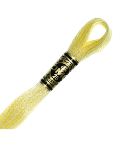 DMC Mouliné borduurgaren