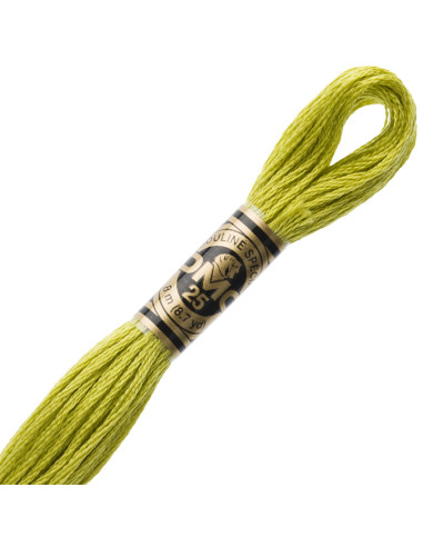 DMC Mouliné borduurgaren