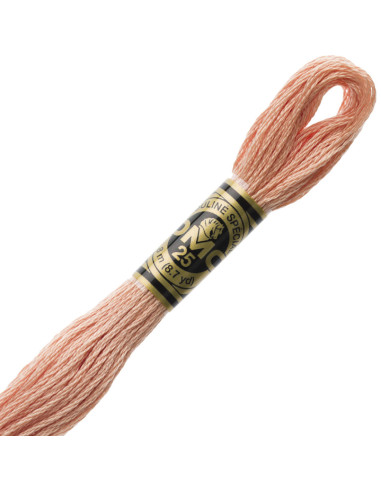 DMC Mouliné borduurgaren