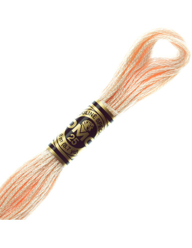 DMC Mouliné borduurgaren