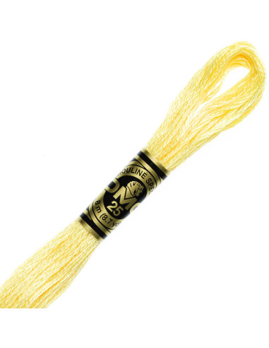 DMC Mouliné borduurgaren