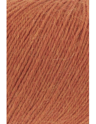 Alpaca Soxx 4 ply sokkenwol Lang Yarns