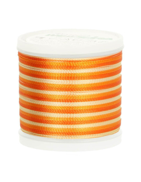 Fil à broder Madeira Rayon Ombré 200 m
