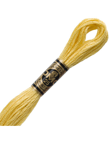 DMC Mouliné borduurgaren