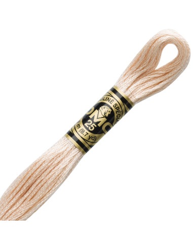DMC Mouliné borduurgaren
