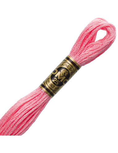 DMC Mouliné borduurgaren