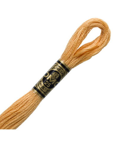 DMC Mouliné borduurgaren