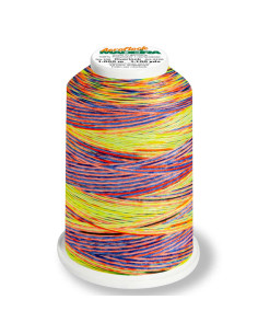 Madeira Aeroflock Multicolor schuimdraadkegel 1000 m 2