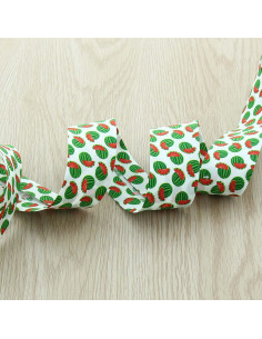 Bias fruit - Watermeloen 2