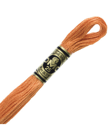 DMC Mouliné borduurgaren