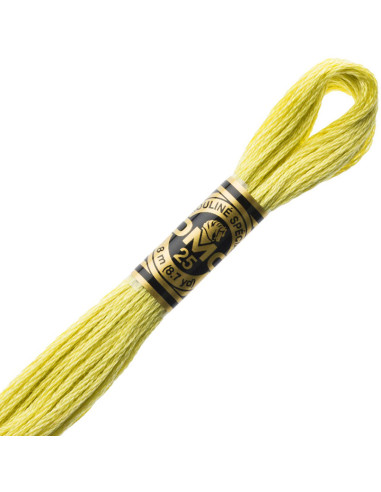 DMC Mouliné borduurgaren