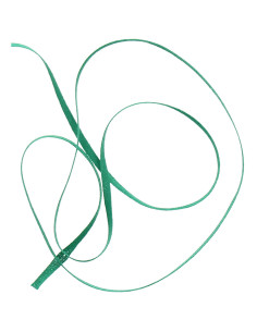Bolduc voor patronage - Groen