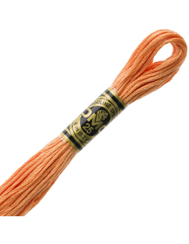 DMC Mouliné borduurgaren