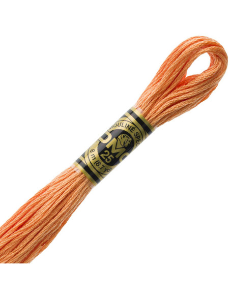 DMC Mouliné borduurgaren