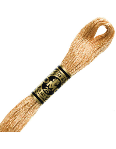 DMC Mouliné borduurgaren