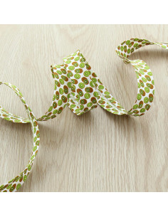 Bias fruit - Kiwi 2
