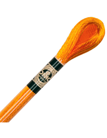 Borduurgaren Mouliné satin DMC