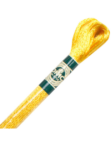 Borduurgaren Mouliné satin DMC