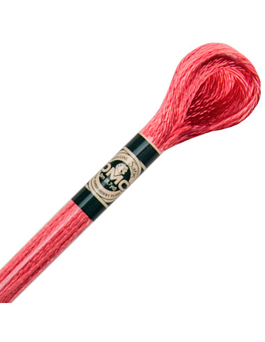 Borduurgaren Mouliné satin DMC
