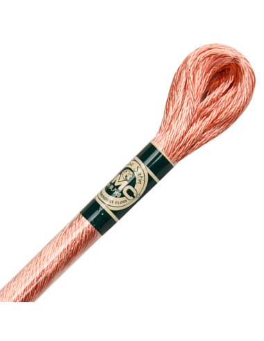 Borduurgaren Mouliné satin DMC