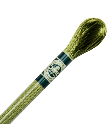 Borduurgaren Mouliné satin DMC