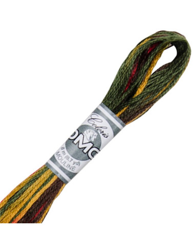 DMC Coloris borduurgaren Mouliné