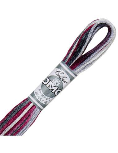 DMC Coloris borduurgaren Mouliné