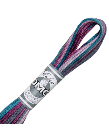 DMC Coloris borduurgaren Mouliné