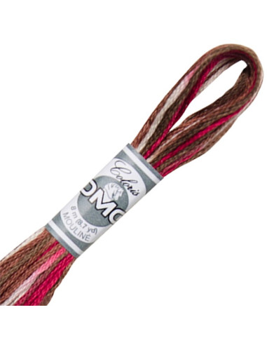 DMC Coloris borduurgaren Mouliné