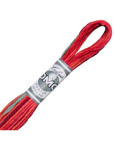 DMC Coloris borduurgaren Mouliné