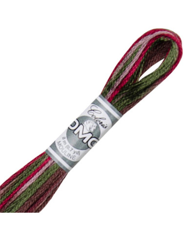 DMC Coloris borduurgaren Mouliné