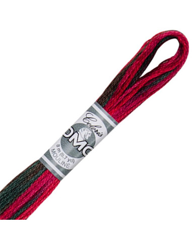 DMC Coloris borduurgaren Mouliné