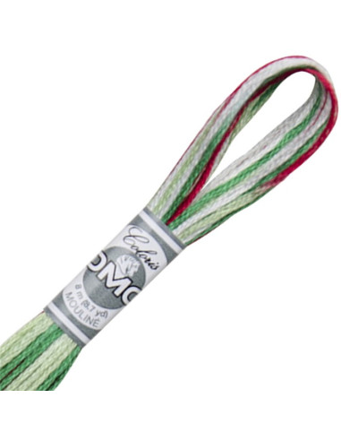 DMC Coloris borduurgaren Mouliné