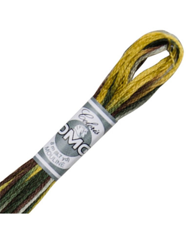 DMC Coloris borduurgaren Mouliné
