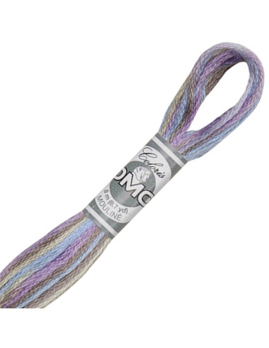 DMC Coloris borduurgaren Mouliné