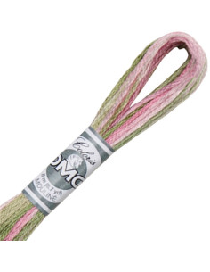 DMC Coloris borduurgaren Mouliné 2