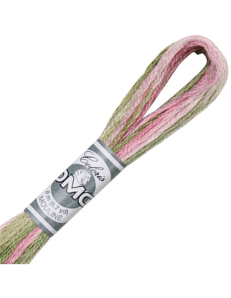 DMC Coloris borduurgaren Mouliné