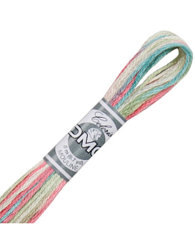 DMC Coloris borduurgaren Mouliné