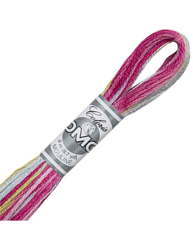 DMC Coloris borduurgaren Mouliné