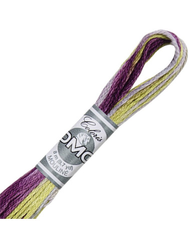 DMC Coloris borduurgaren Mouliné